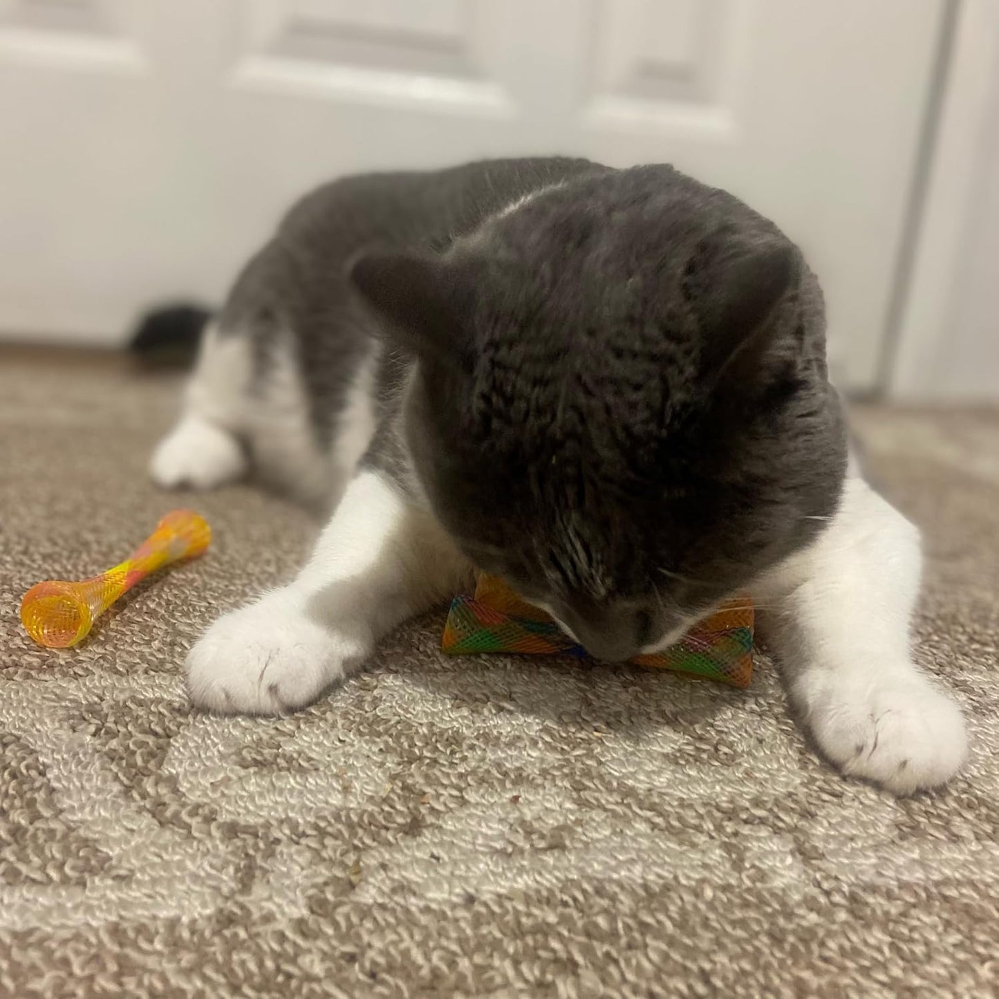 Kitty Fun Tubes Cat Toy | Bouncy Cat Toy with Catnip inside for Cats and Kittens to Bite, Swat and Chase | Interactive Cat Toy | 3 Pieces